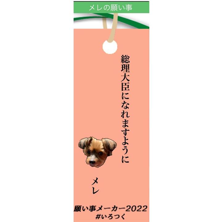 25f4d051 791a 452e ae9f 643161296f3e 1657089702819