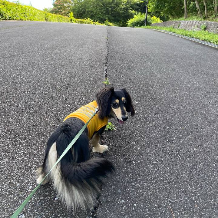 25f4d5f6 a16f 4d8d a03c 78b0741ad960 1719014792079