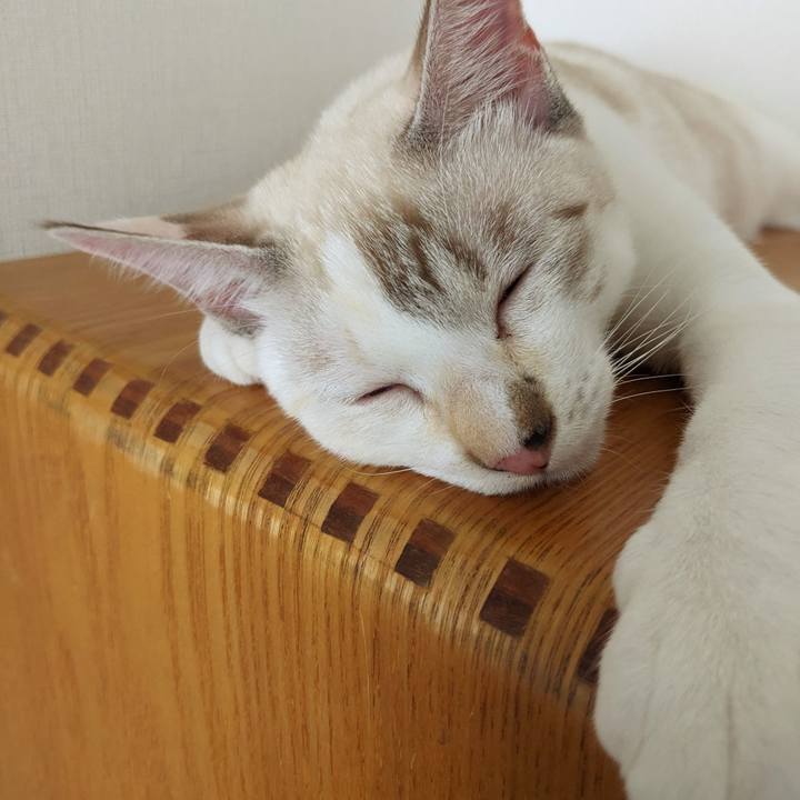 25f4e438 0ea8 41b4 a991 fc3ddc2b5634 1696387178607