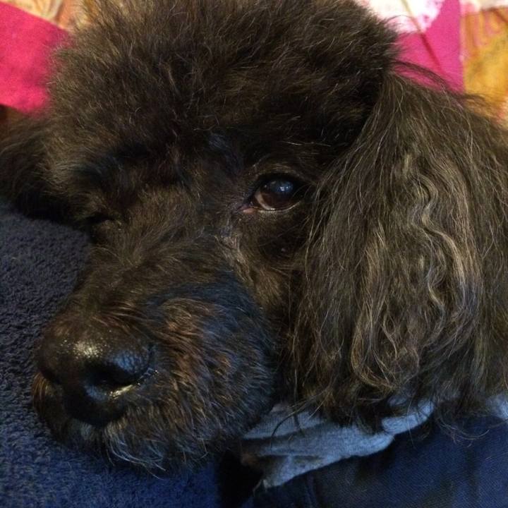 25f4f599 4860 44af 8ad5 810bb65db451 1513030574630