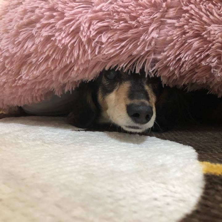 25f50bb3 96cc 4e1b a33a dd2d19177f08 1610147912943