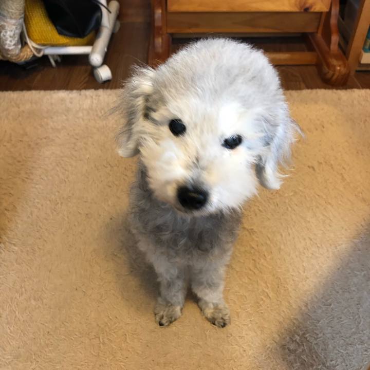 25f51001 34d0 4e49 92c9 a37f43928a94 1654734934818