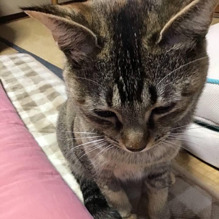 25f51b91 885b 4635 81a2 95e4f3094e5c 1579049841406