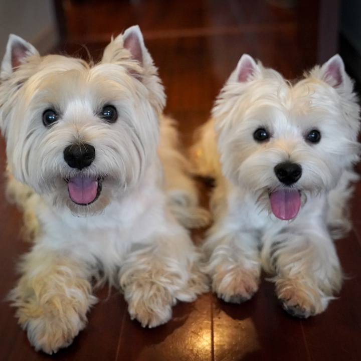 25f542eb e82d 4aff a49c 16225f31ecac 1528716510491