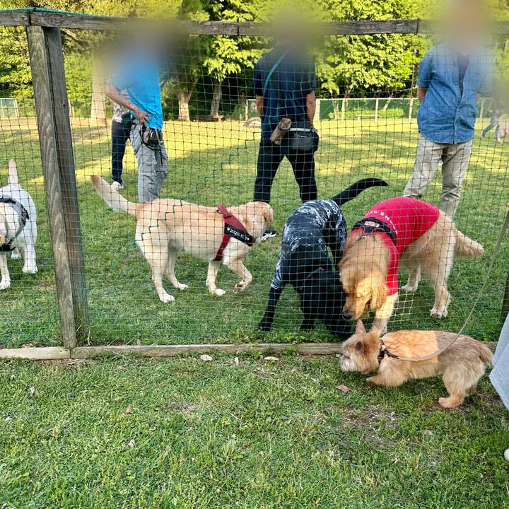 25f546d9 dc6f 4c6e 9332 a2cb3552edcc 1714838580884