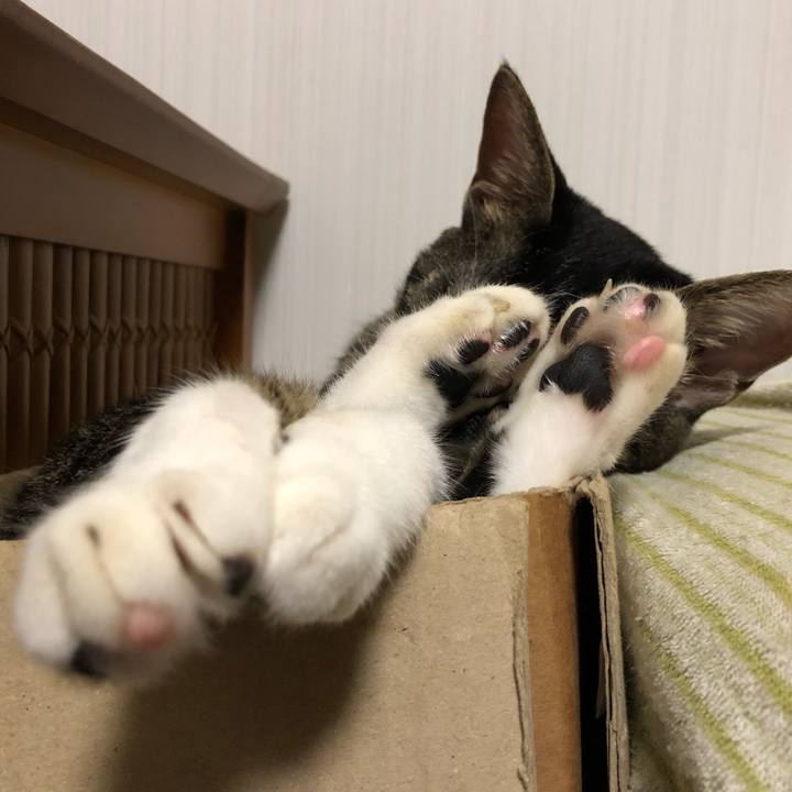 25f57bbc 552b 48a6 baf4 01aea890a609 1535489827824