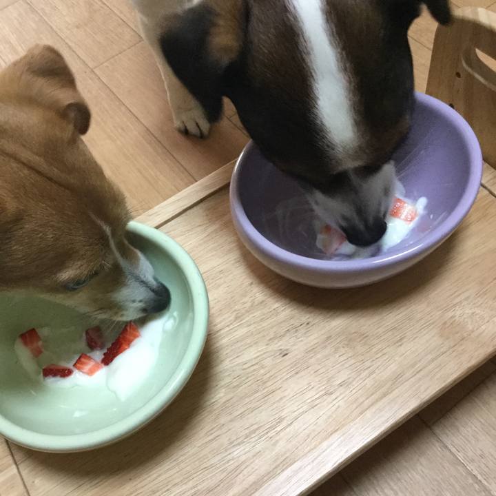 25f59b31 14da 4bd9 97d6 427c6e370a72 1552546937217