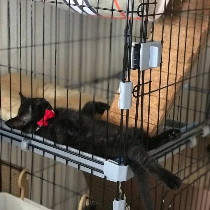 25f5d4ea e342 40bf b8c5 7b4224bb371c 1658899859368