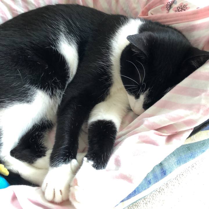 25f5eb1e 1ce3 4b29 b658 70e9634079df 1534730513897