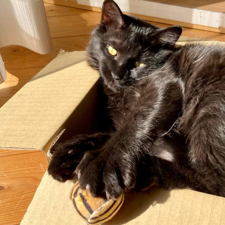 25f5ebef 45b0 448d bdfd 72b948486d26 1707719322383