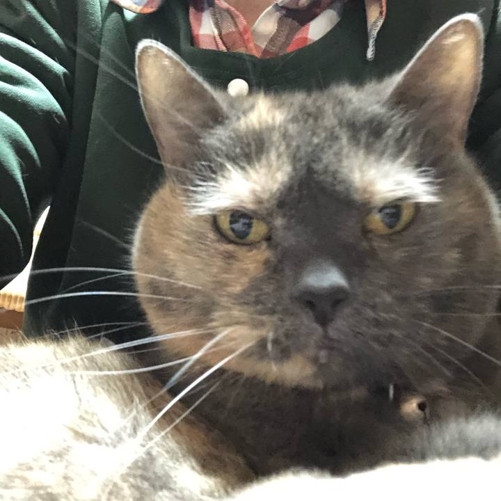 25f60771 a70f 4eb7 8b1d f5b87731ad43 1555238398079