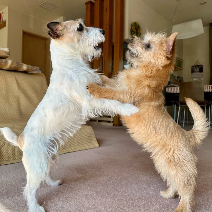 25f6270f b93a 4efe 9e3f b72542222681 1708812389930