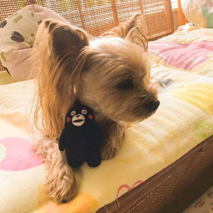 25f64c8a 7423 46ab 89ce 9be2ce302ced 1561529404612