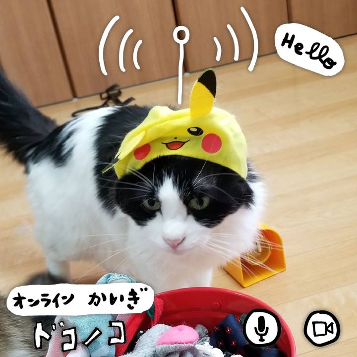 25f673d2 21a4 492e bab6 57690039f788 1591347683850