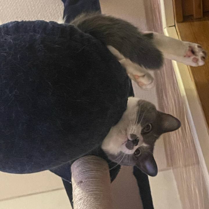 25f6b3b4 2b28 4c25 bcaa bd1030438b6f 1634297548505