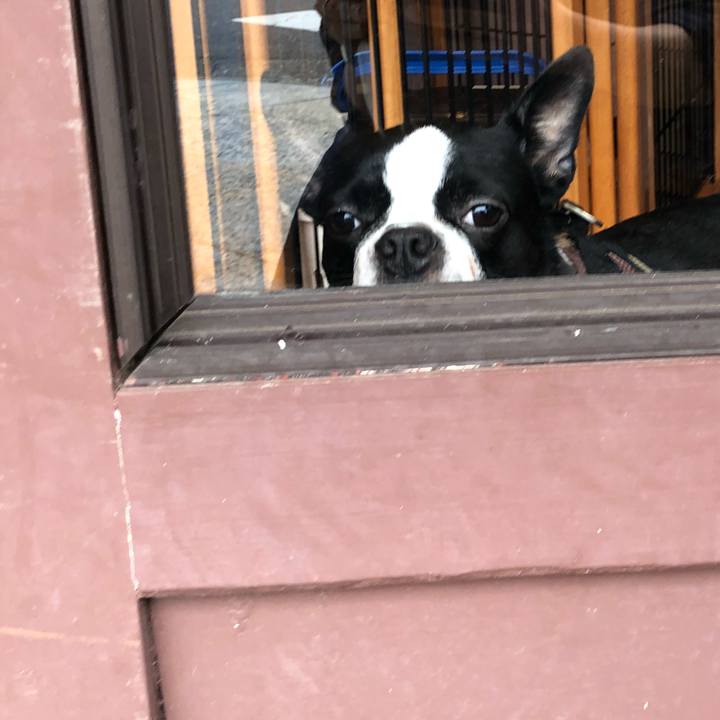 25f6c67c 9608 4366 a528 22fe1202aff0 1539657430778