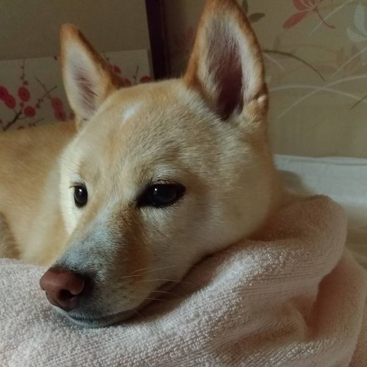 25f6d47e 89b0 4dca 845b e1a27ed12d36 1568897312557