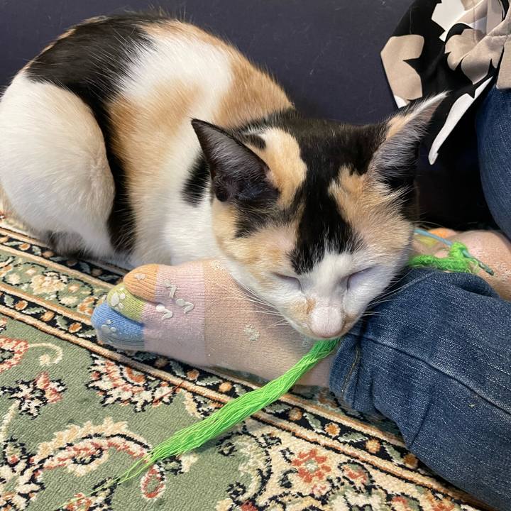 25f71a4b d20e 4c69 87fb a9bb31167921 1681726531689