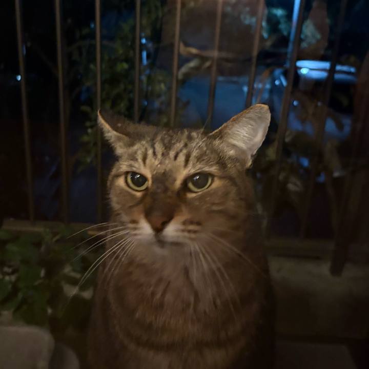 25f7222b a63a 40a4 9ced 25b09ca4891e 1762428819044