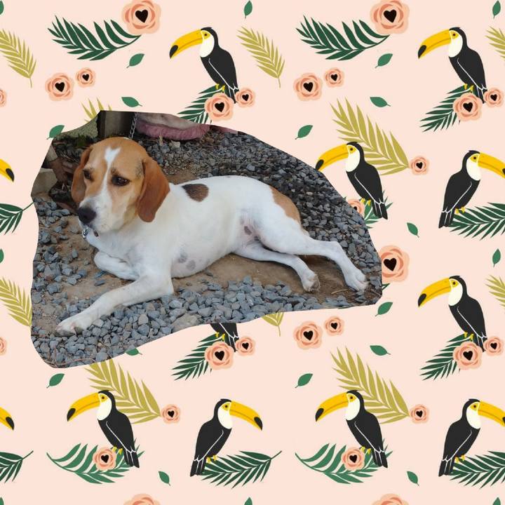 25f737ea 76b8 4508 8c78 8f8379cc97c7 1597640235705