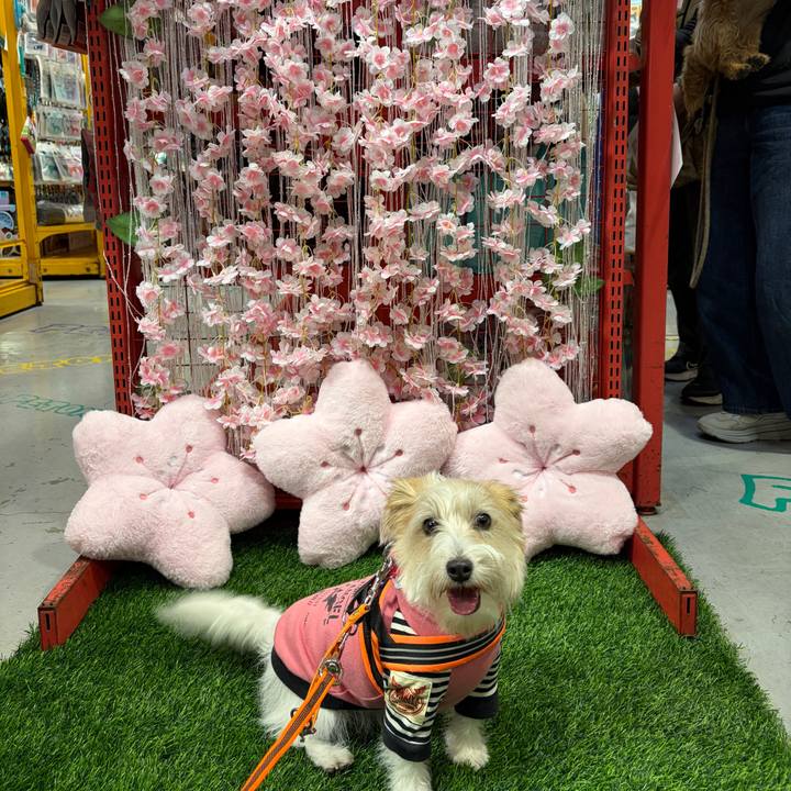 25f7620e a56a 441f 91bb 11600f214159 1771753311128