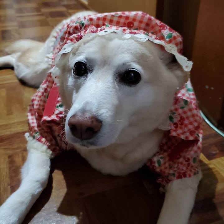 25f76956 6600 4a40 9458 420a09338f29 1618146542646