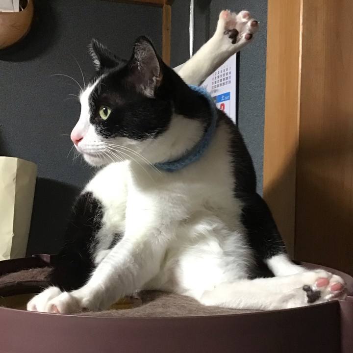 25f7ba33 2797 4c06 a6fc 90c21ad47375 1747131332303