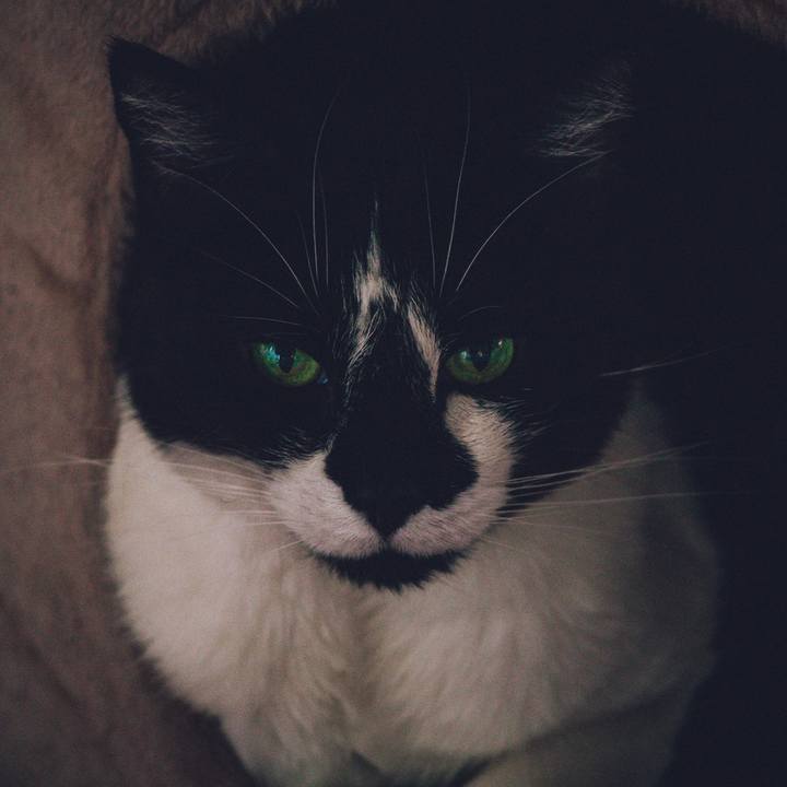 25f7e6f1 bc4c 4926 8831 e0d2c0b9001e 1758769912660