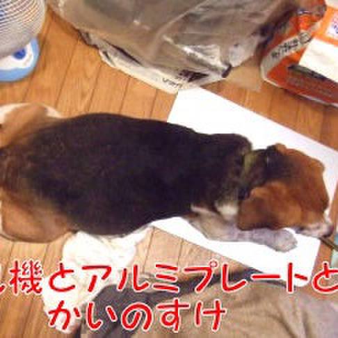 25f7f56e 491b 4cf5 9191 0ee90bf52a05 1689206656193