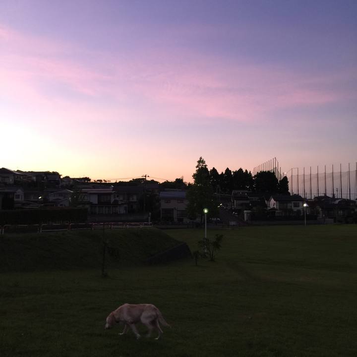 25f7fca7 9c1f 4b8a 8831 e10999ccb5cb 1531568862142