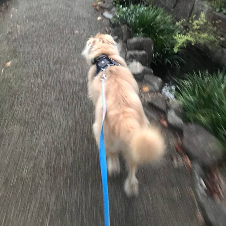 25f7ff99 0a0d 428d a27b 6a579427f82e 1634619664761