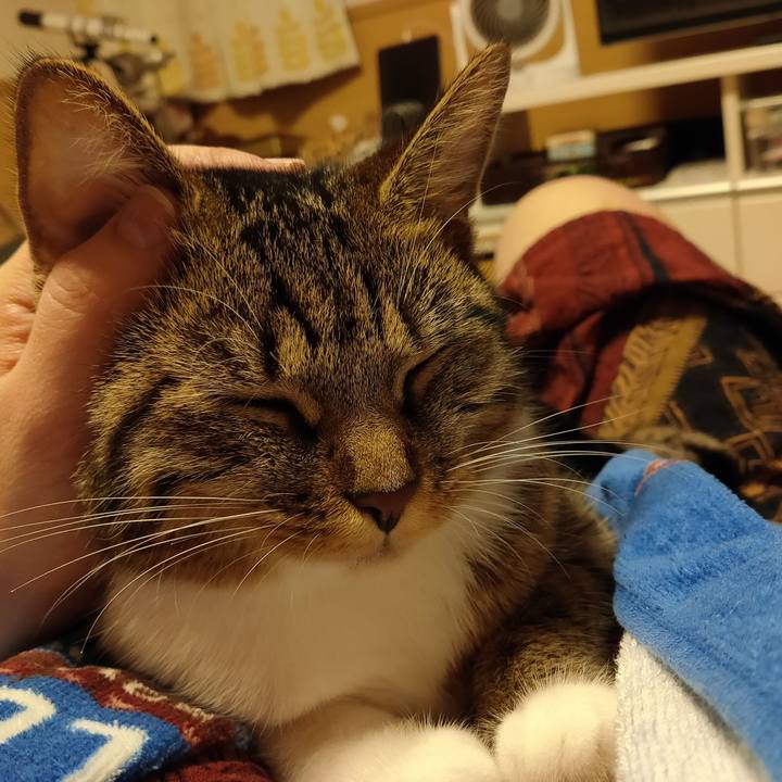 25f81ae7 c304 4d54 90f6 ca6efbedb409 1662118208013