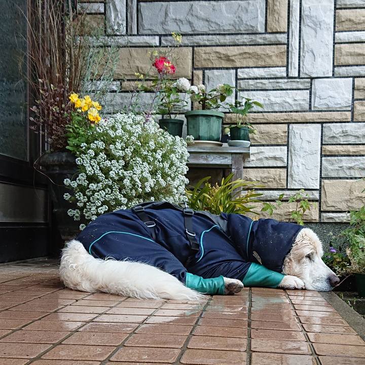 25f84d8b b2b9 42b5 9bfc e27241b85dbf 1588487223271