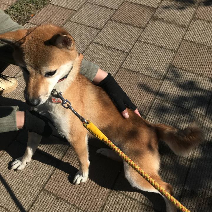 25f8590c b8d8 4ec7 a404 68bde306412a 1540711535499