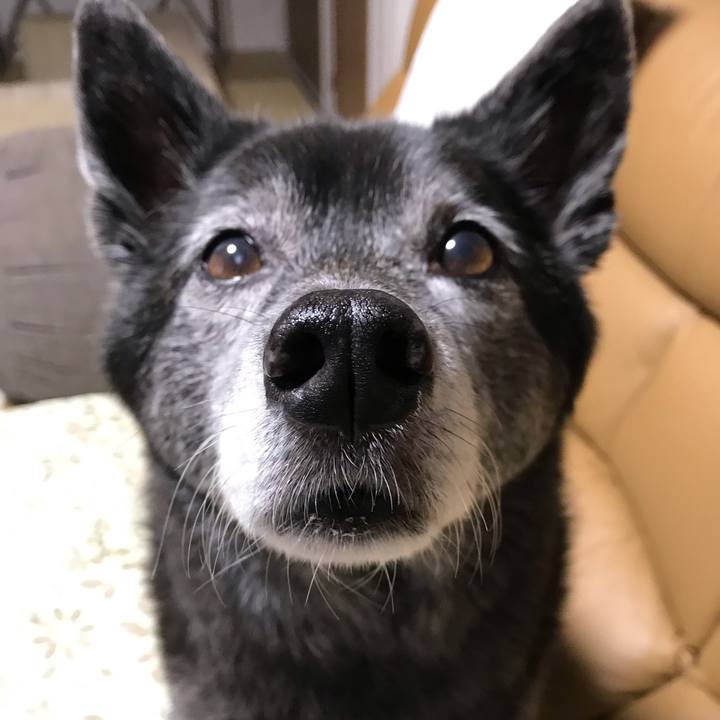 25f87126 7fb8 4994 91da dd379094105c 1640843980674