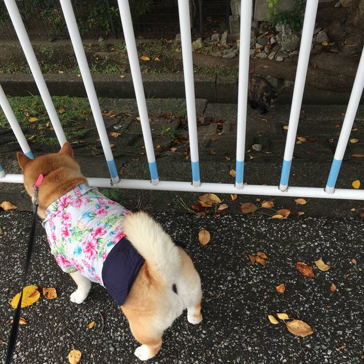 25f87591 05af 4989 a1e4 d417fe57ef40 1567384695897