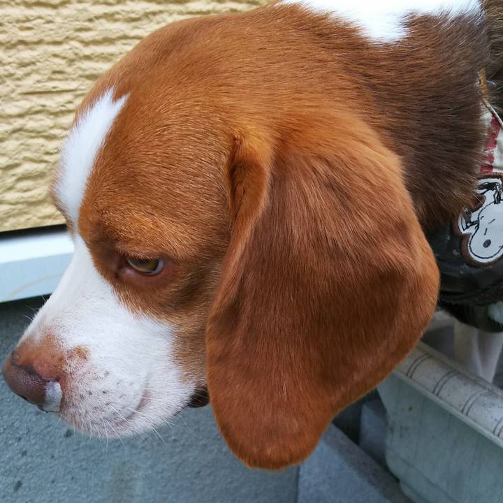 25f879a3 d798 49f7 800d 8f96b4b5a47e 1561277616836