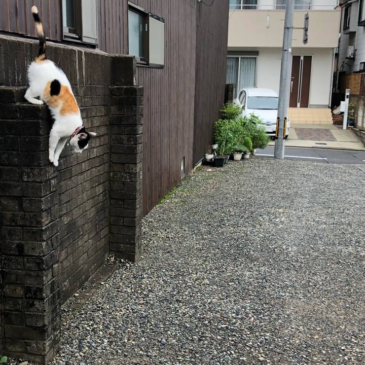 25f8807a 15e5 4da4 8f3b 849b0c39ba64 1629372755761