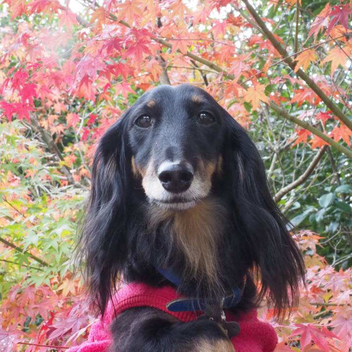 25f8b211 b7b1 48ad be06 fde04cc21432 1700384561596