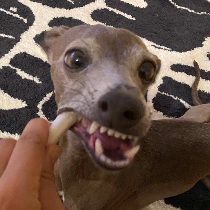 25f8c743 59cf 432a a830 0a5e7d320f64 1759401635495