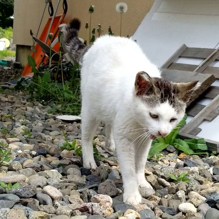 25f96c8e cc73 4f86 ac25 b31b9fb9524c 1685272782456