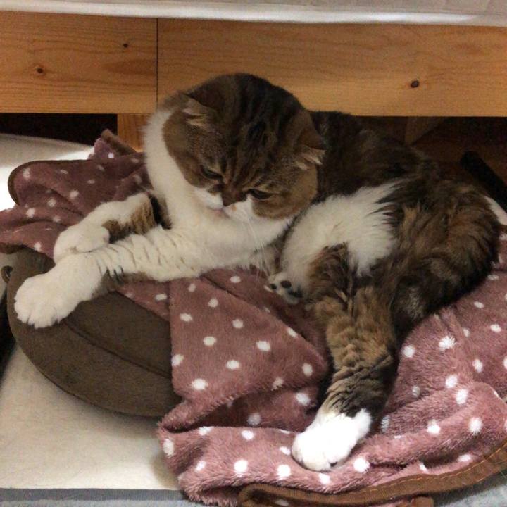 25f9a19e 7d4e 4863 9f35 7e000967392e 1540042008973