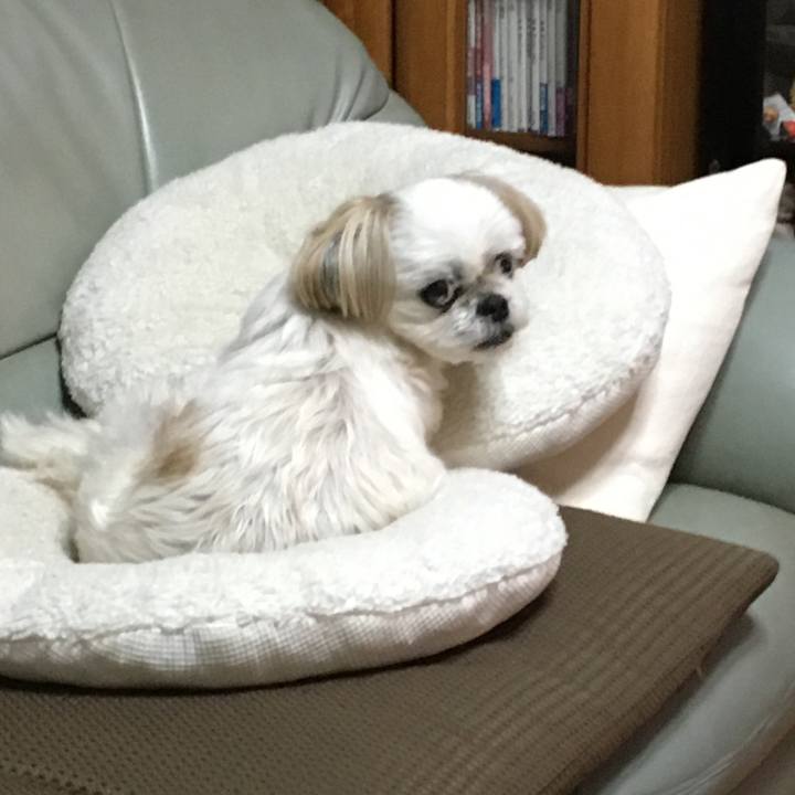 25f9c466 ef60 462f bd33 e0bc3725983b 1608634885496