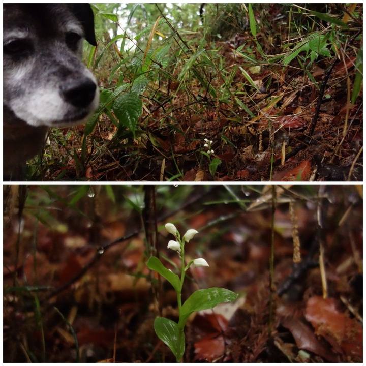 25f9e1ea 60ec 4e71 b4f7 dc39f7611bc7 1556586873427