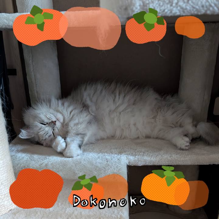 25fa0405 76e2 4194 8d0f cd7dc48f74e2 1761355395385