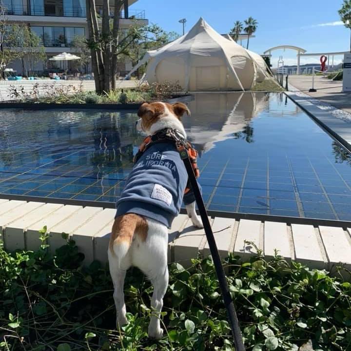 25fa0897 831e 472e aa4f 460e564eb131 1698153617183