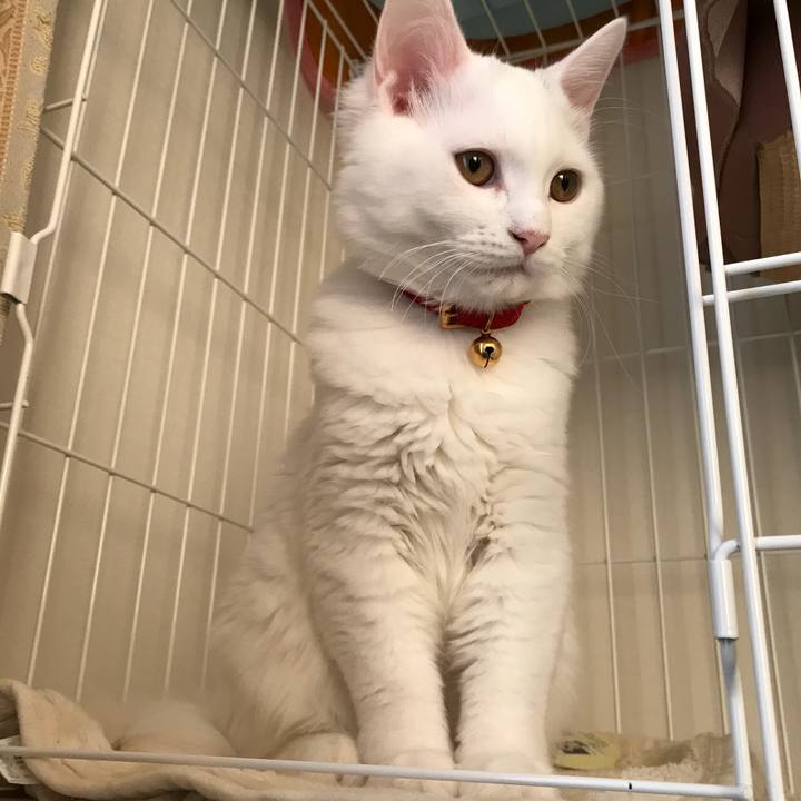 25fa18d8 8fb2 4427 a246 8e12c8392b05 1512302767207