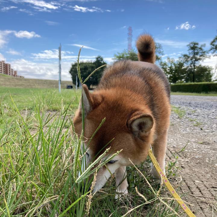 25fa32e9 20a9 4bf4 bf6d 6aff314fff65 1663818539572