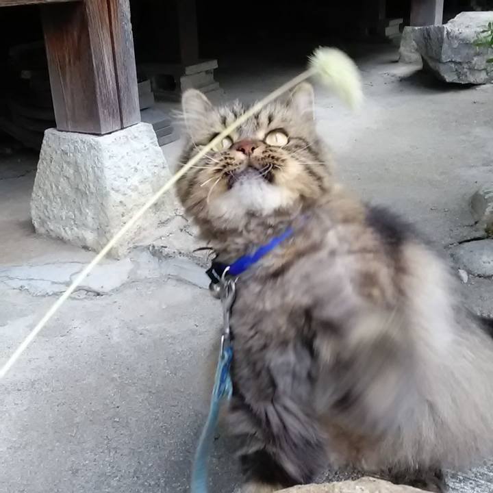 25fa6066 c444 46c4 85d2 9b8b2b9d8a04 1658802963112