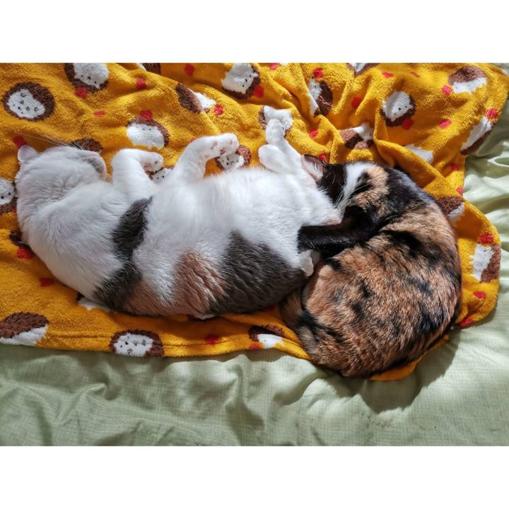 25fa861b 50f9 4ee2 b988 f150210c20c4 1636343106943